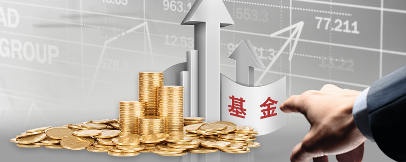 “稀客”紫背椋鸟到访福建