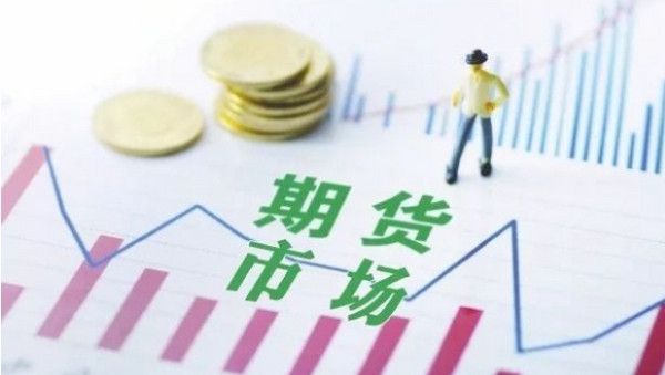 市六届人大常委会第三十一次会议召开